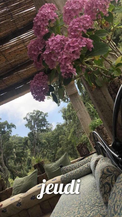 Maison D'Hotes "Abou-Hachem" Melaah Esterno foto